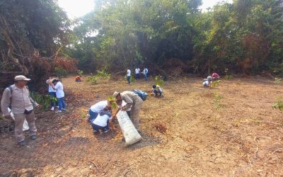 Educación y Reforestación en Yubalcah: Un Compromiso con la Naturaleza